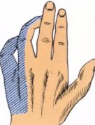 小指、无名指麻木伸不直？你可能是肘管综合征